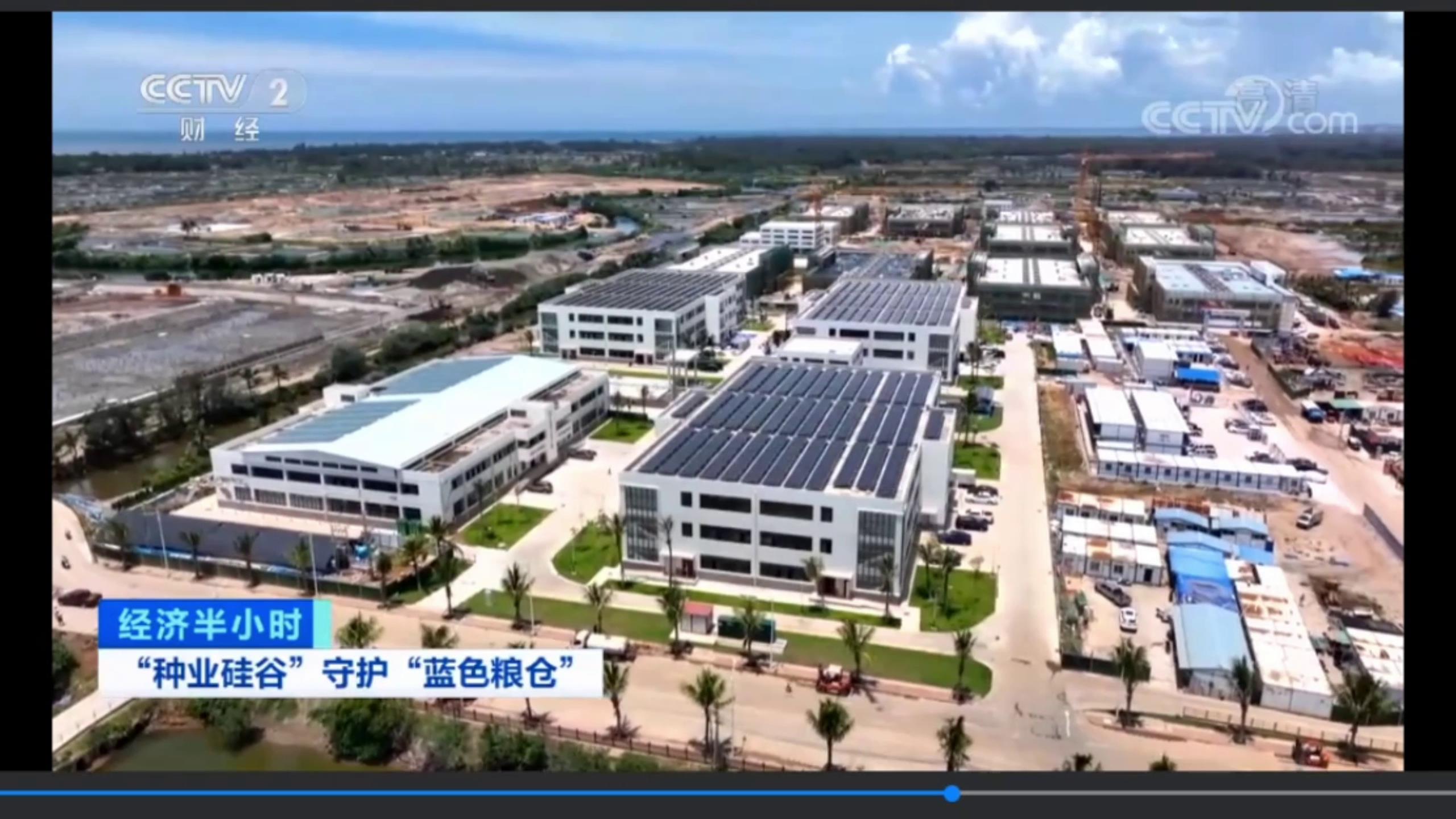 經濟半小時——“種業硅谷”守護”藍色糧倉“