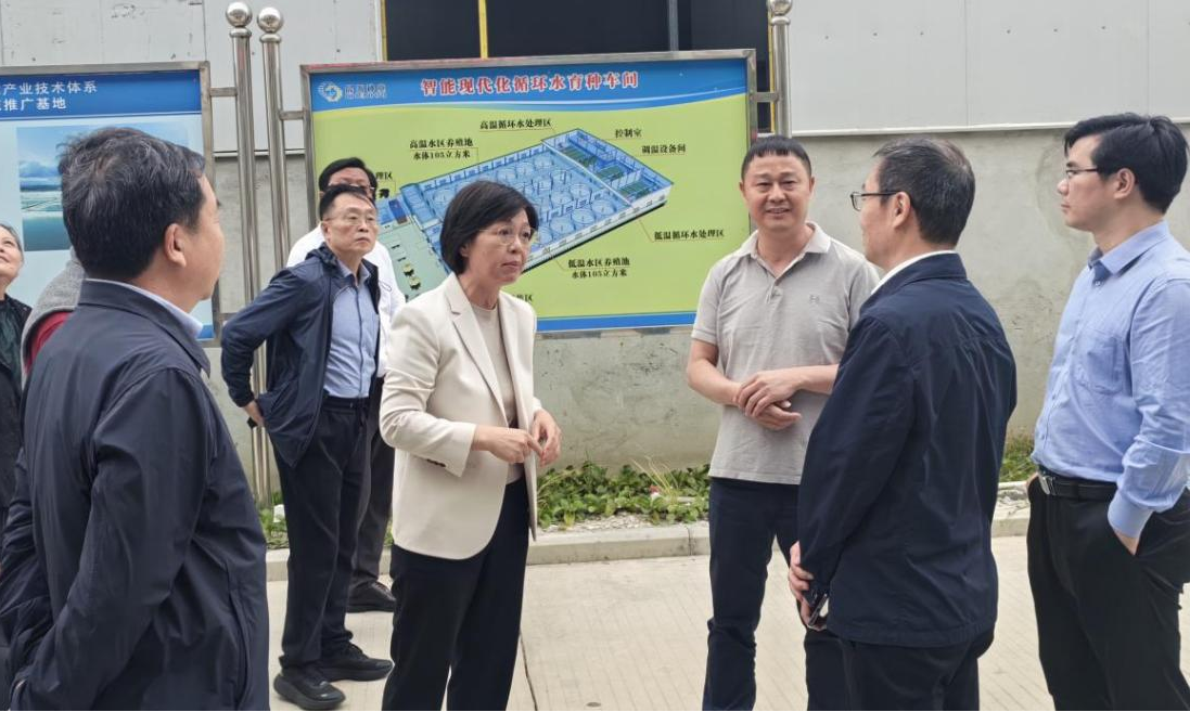 福建省政協副主席黃玲帶隊到晨海調研