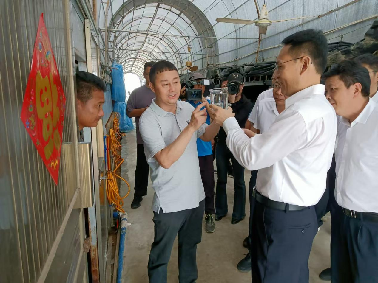 東方市委書記李愛華一行調研晨海水產東方感城基地